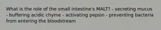 What is the role of the small intestine's MALT? - secreting mucus - buffering acidic chyme - activating pepsin - preventing bacteria from entering the bloodstream