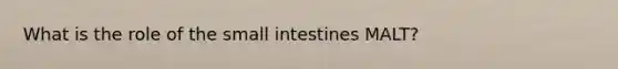 What is the role of the small intestines MALT?