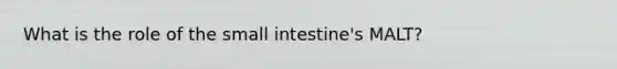 What is the role of the small intestine's MALT?