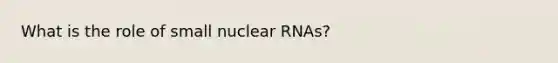 What is the role of small nuclear RNAs?