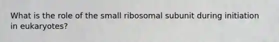 What is the role of the small ribosomal subunit during initiation in eukaryotes?