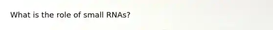 What is the role of small RNAs?