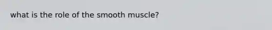 what is the role of the smooth muscle?