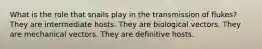 What is the role that snails play in the transmission of flukes? They are intermediate hosts. They are biological vectors. They are mechanical vectors. They are definitive hosts.