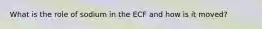 What is the role of sodium in the ECF and how is it moved?