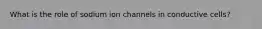 What is the role of sodium ion channels in conductive cells?