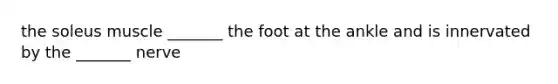 the soleus muscle _______ the foot at the ankle and is innervated by the _______ nerve