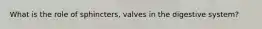 What is the role of sphincters, valves in the digestive system?