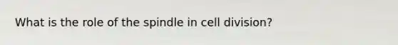 What is the role of the spindle in <a href='https://www.questionai.com/knowledge/kjHVAH8Me4-cell-division' class='anchor-knowledge'>cell division</a>?