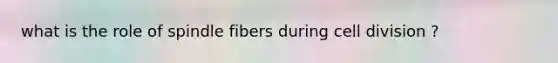 what is the role of spindle fibers during cell division ?