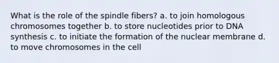 What is the role of the spindle fibers? a. to join homologous chromosomes together b. to store nucleotides prior to DNA synthesis c. to initiate the formation of the nuclear membrane d. to move chromosomes in the cell