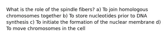 What is the role of the spindle fibers? a) To join homologous chromosomes together b) To store nucleotides prior to DNA synthesis c) To initiate the formation of the nuclear membrane d) To move chromosomes in the cell