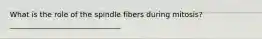 What is the role of the spindle fibers during mitosis? ______________________________