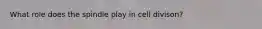 What role does the spindle play in cell divison?