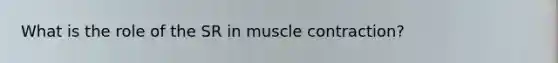 What is the role of the SR in <a href='https://www.questionai.com/knowledge/k0LBwLeEer-muscle-contraction' class='anchor-knowledge'>muscle contraction</a>?