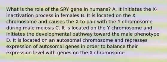 What is the role of the SRY gene in humans? A. It initiates the X-inactivation process in females B. It is located on the X chromosome and causes the X to pair with the Y chromosome during male meiosis C. It is located on the Y chromosome and initiates the developmental pathway toward the male phenotype D. It is located on an autosomal chromosome and represses expression of autosomal genes in order to balance their expression level with genes on the X chromosome