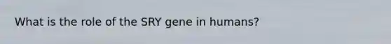 What is the role of the SRY gene in humans?