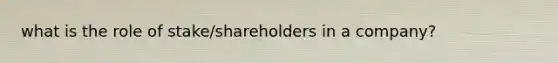 what is the role of stake/shareholders in a company?