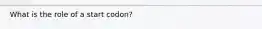 What is the role of a start codon?