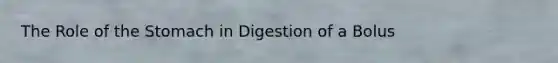 The Role of the Stomach in Digestion of a Bolus