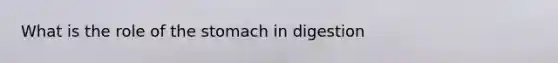 What is the role of <a href='https://www.questionai.com/knowledge/kLccSGjkt8-the-stomach' class='anchor-knowledge'>the stomach</a> in digestion