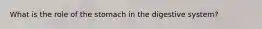 What is the role of the stomach in the digestive system?