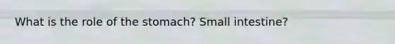 What is the role of the stomach? Small intestine?