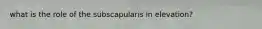 what is the role of the subscapularis in elevation?