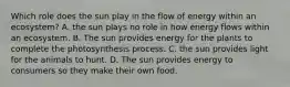 Which role does the sun play in the flow of energy within an ecosystem? A. the sun plays no role in how energy flows within an ecosystem. B. The sun provides energy for the plants to complete the photosynthesis process. C. the sun provides light for the animals to hunt. D. The sun provides energy to consumers so they make their own food.