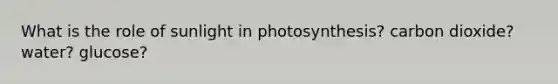 What is the role of sunlight in photosynthesis? carbon dioxide? water? glucose?