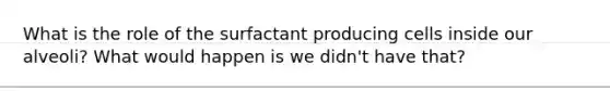 What is the role of the surfactant producing cells inside our alveoli? What would happen is we didn't have that?