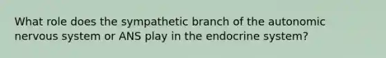 What role does the sympathetic branch of the autonomic nervous system or ANS play in the endocrine system?