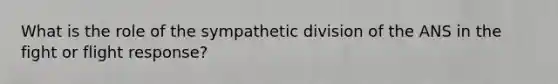 What is the role of the sympathetic division of the ANS in the fight or flight response?