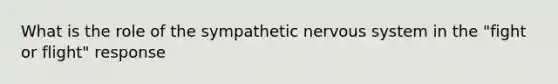 What is the role of the sympathetic nervous system in the "fight or flight" response