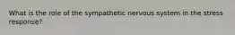 What is the role of the sympathetic nervous system in the stress response?