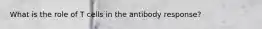 What is the role of T cells in the antibody response?