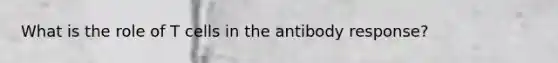 What is the role of T cells in the antibody response?