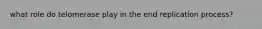 what role do telomerase play in the end replication process?