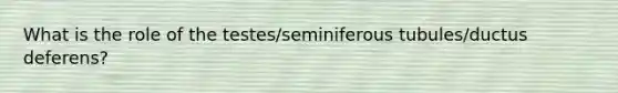 What is the role of the testes/seminiferous tubules/ductus deferens?