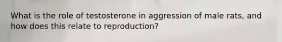 What is the role of testosterone in aggression of male rats, and how does this relate to reproduction?