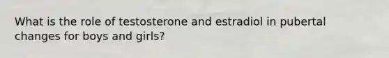 What is the role of testosterone and estradiol in pubertal changes for boys and girls?