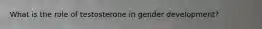What is the role of testosterone in gender development?