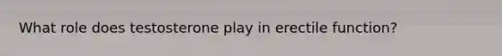 What role does testosterone play in erectile function?