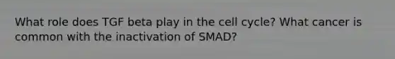 What role does TGF beta play in the cell cycle? What cancer is common with the inactivation of SMAD?