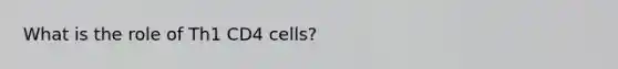 What is the role of Th1 CD4 cells?