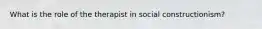 What is the role of the therapist in social constructionism?