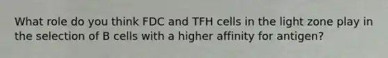 What role do you think FDC and TFH cells in the light zone play in the selection of B cells with a higher affinity for antigen?