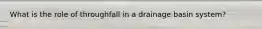 What is the role of throughfall in a drainage basin system?