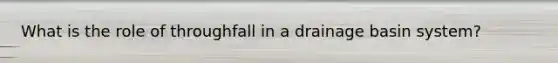 What is the role of throughfall in a drainage basin system?