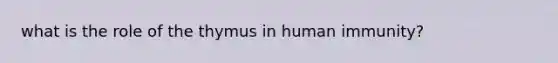 what is the role of the thymus in human immunity?